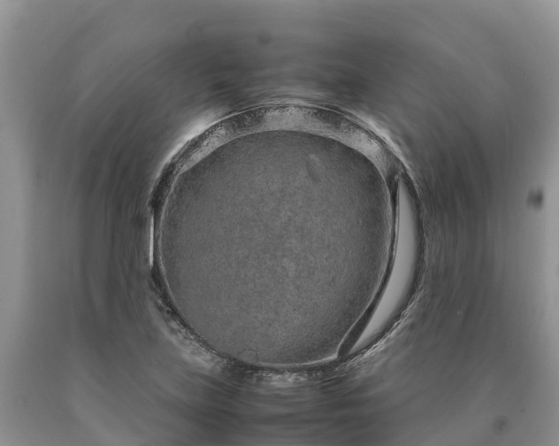 X0000090621219200707241121