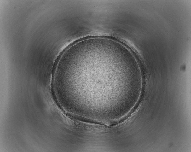 X0000090621220200707241121