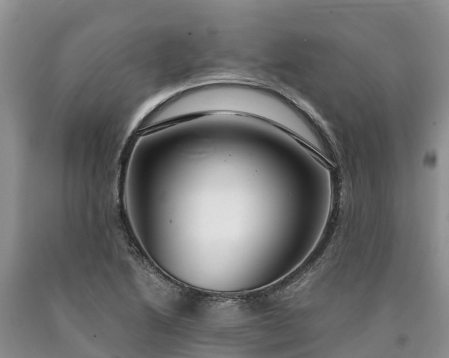 X0000090621222200707241121