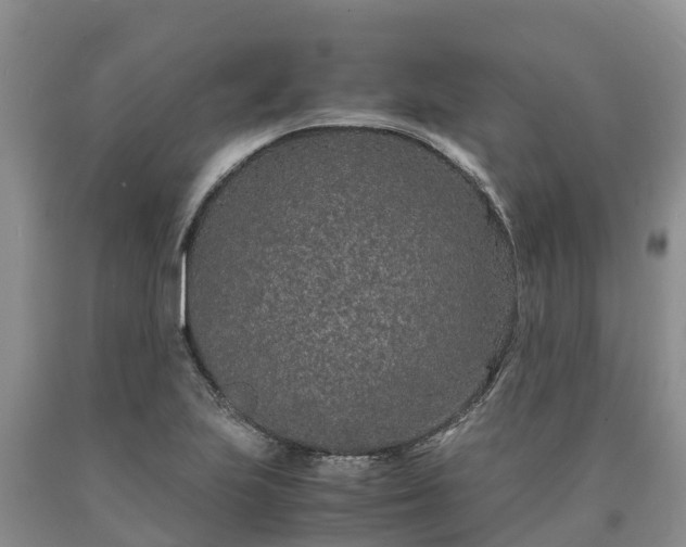 X0000090621223200707241121