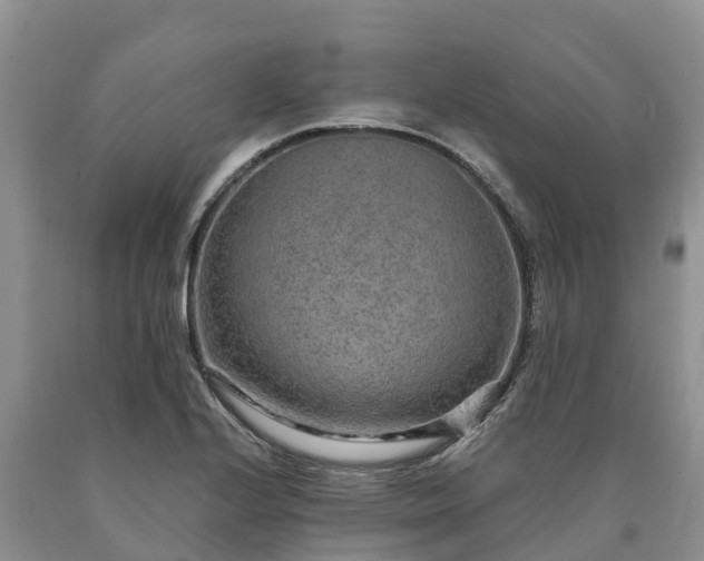 X0000090621224200707241121