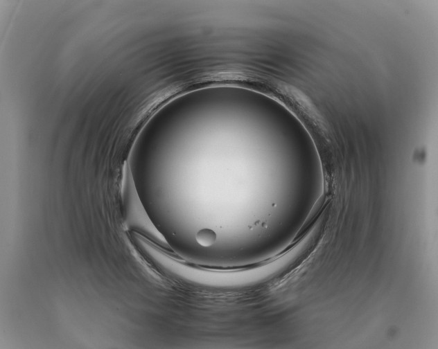 X0000090621225200707241121
