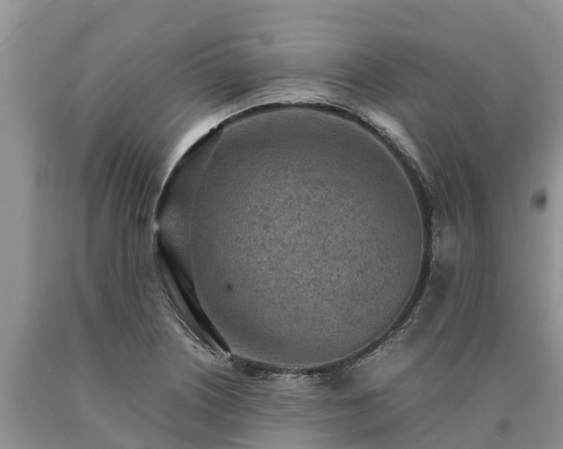 X0000090621226200707241121
