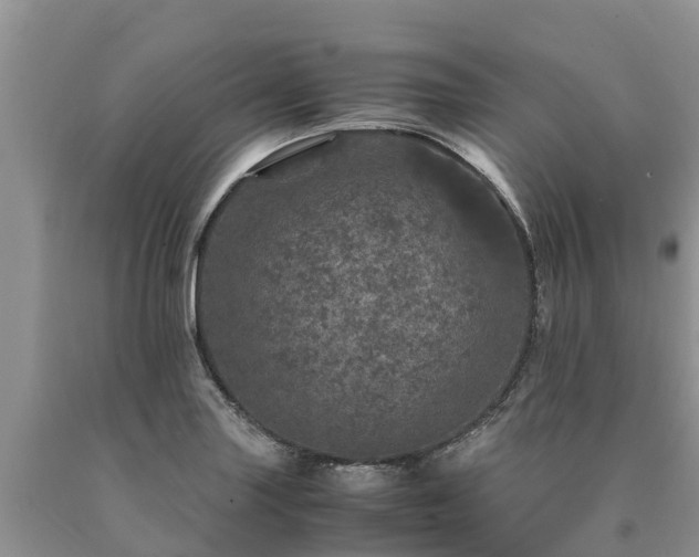 X0000090621227200707241121