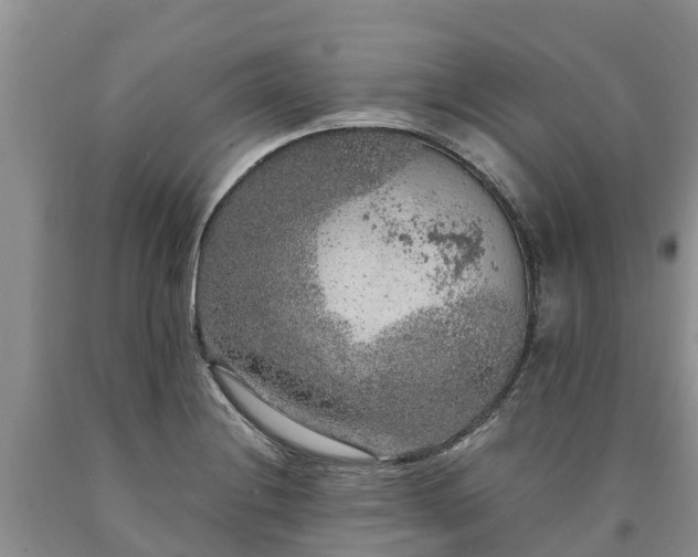 X0000090621228200707241121