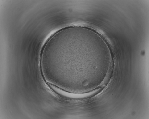 X0000090621232200707241121