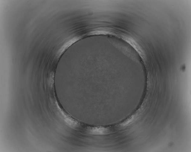 X0000090621233200707241121