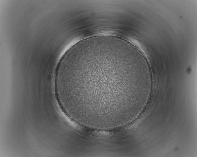 X0000090621235200707241122