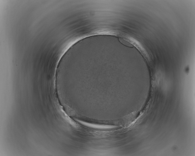X0000090621236200707241122