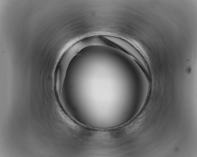 X0000090621238200707241122