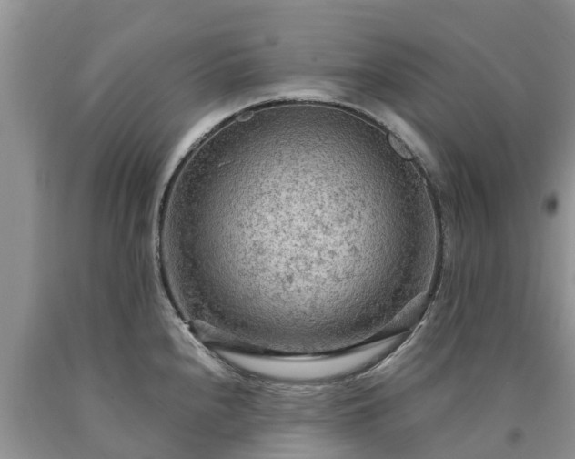 X0000090621240200707241122