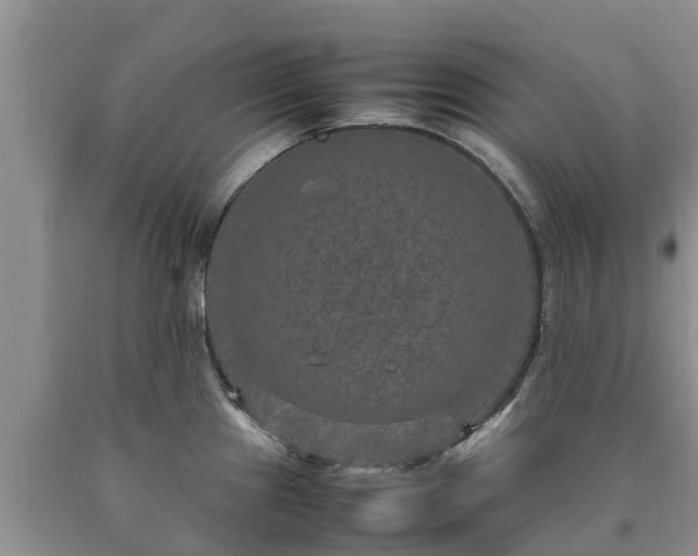 X0000090621241200707241122