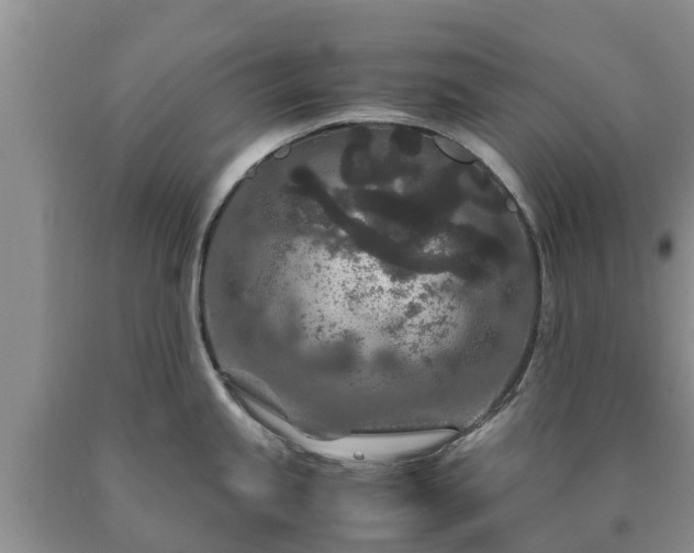 X0000090621245200707241122