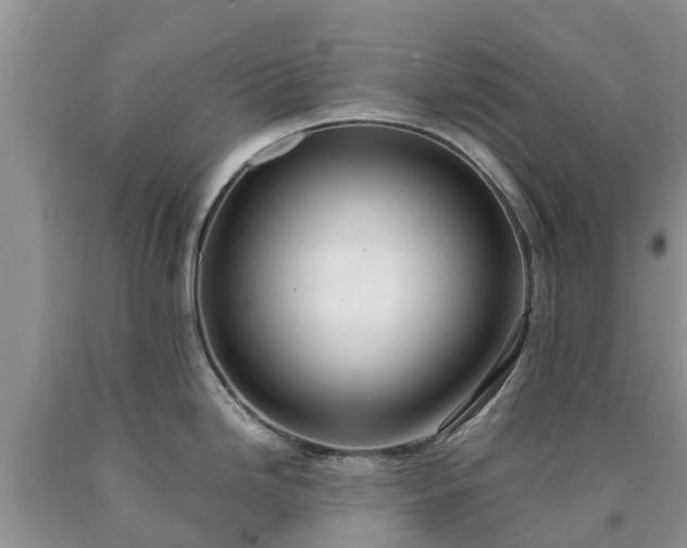 X0000090621246200707241122