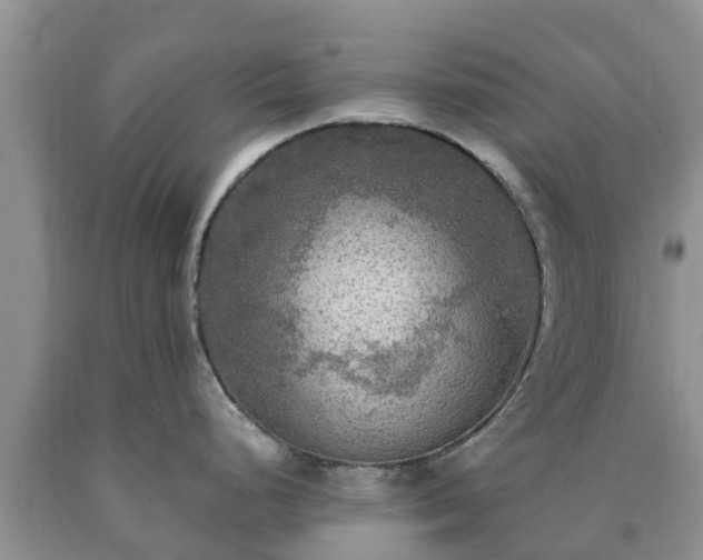 X0000090621248200707241122