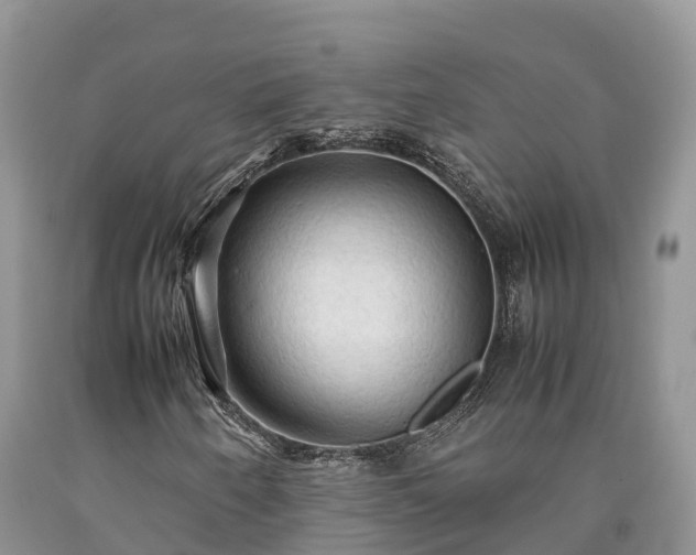 X0000090621250200707241121