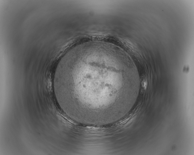 X0000090621252200707241121