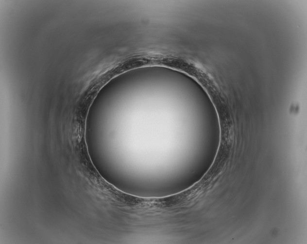 X0000090621253200707241121
