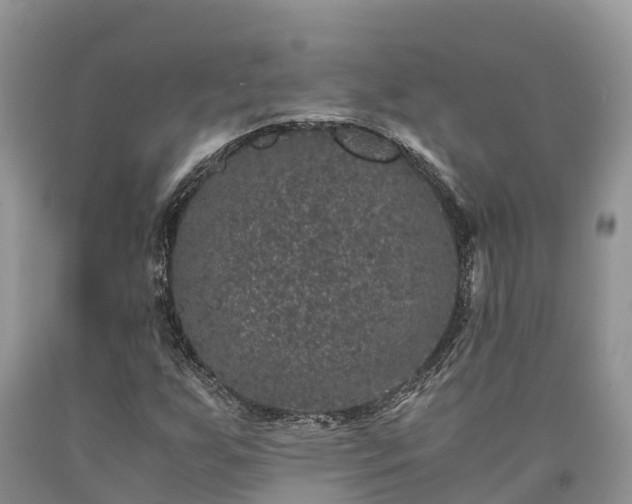 X0000090621255200707241121