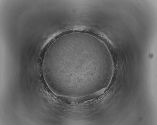 X0000090621256200707241121