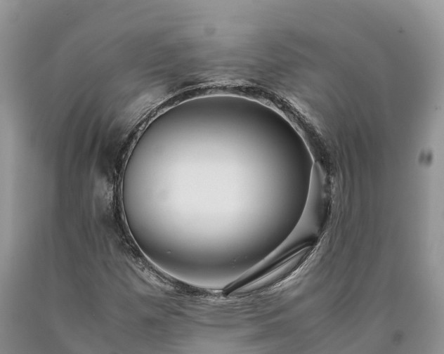 X0000090621257200707241121
