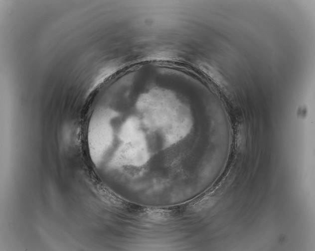 X0000090621258200707241121