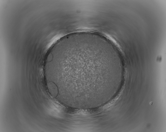 X0000090621259200707241121