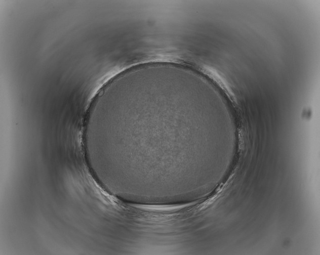 X0000090621260200707241121