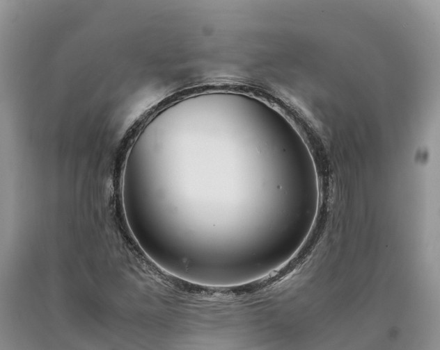 X0000090621261200707241121