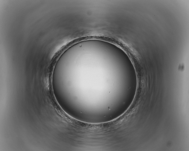 X0000090621262200707241121