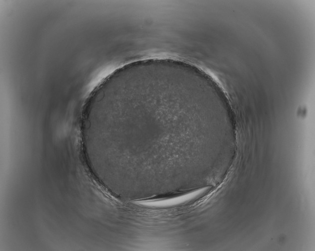 X0000090621263200707241121