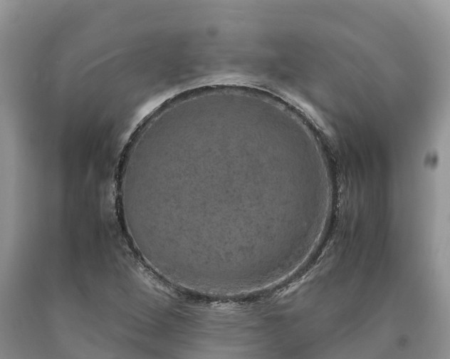 X0000090621264200707241121