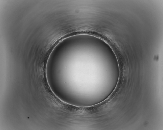 X0000090621265200707241121