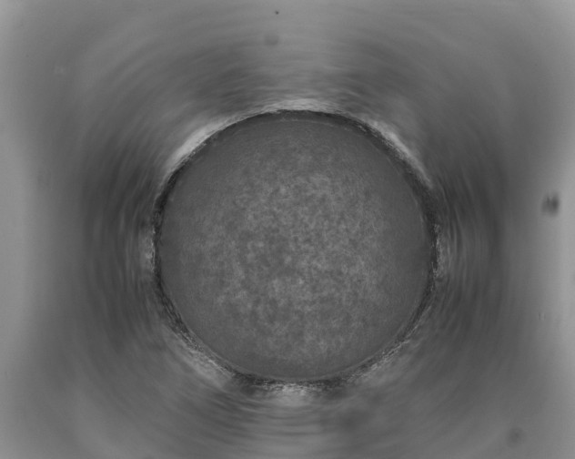 X0000090621266200707241121
