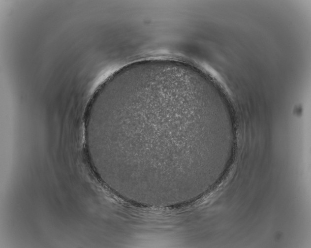 X0000090621267200707241121