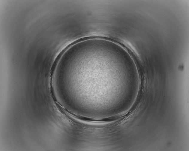 X0000090621268200707241121