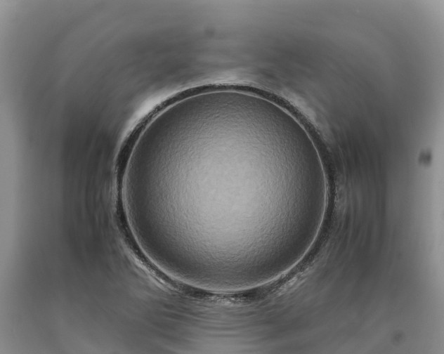 X0000090621270200707241121