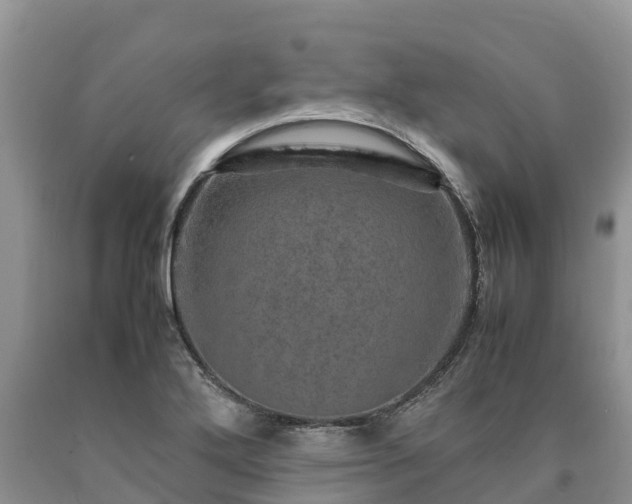 X0000090621272200707241121