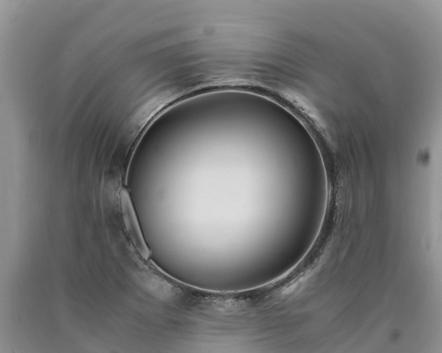 X0000090621273200707241121