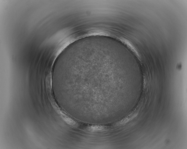 X0000090621274200707241121