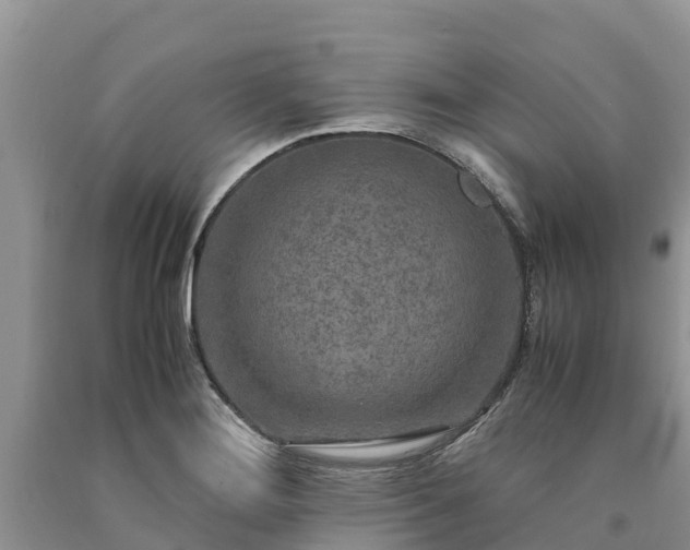 X0000090621276200707241121