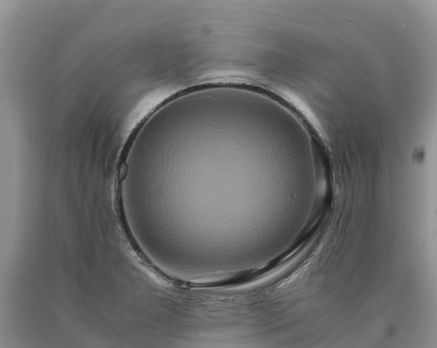 X0000090621277200707241121