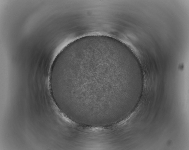 X0000090621278200707241121