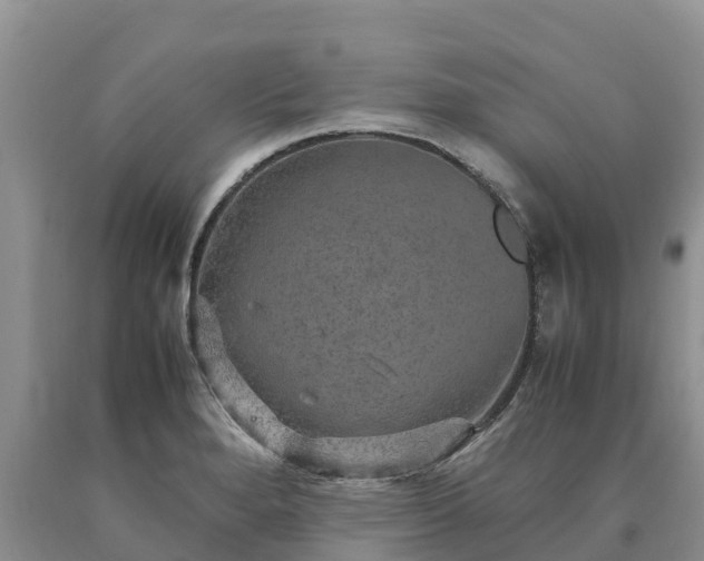 X0000090621280200707241121
