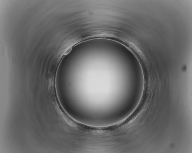 X0000090621281200707241121