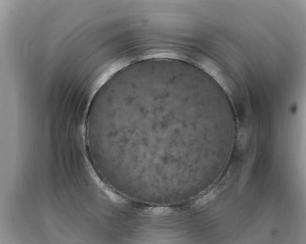 X0000090621282200707241121
