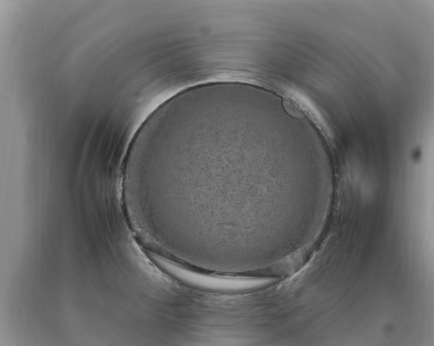 X0000090621284200707241121