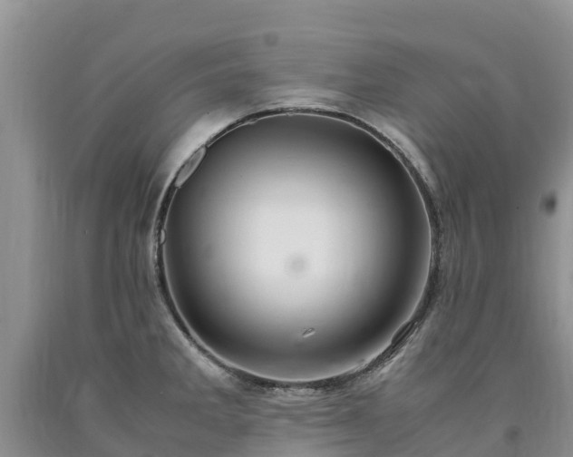 X0000090621285200707241121