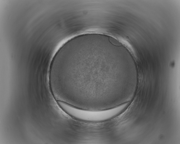 X0000090621288200707241120