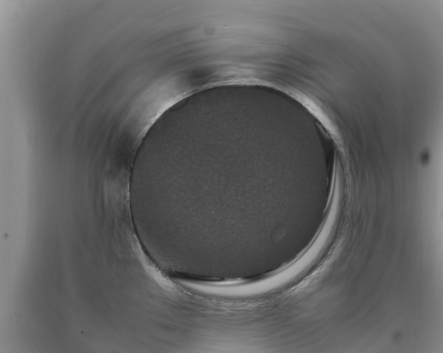 X0000090621289200707241120